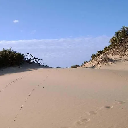 Turismo Rurale La Miniera Fiorita Arbus