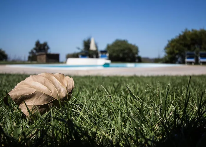 Turismo Rurale La Miniera Fiorita Kır Evi *